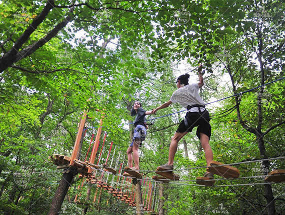 ������չ