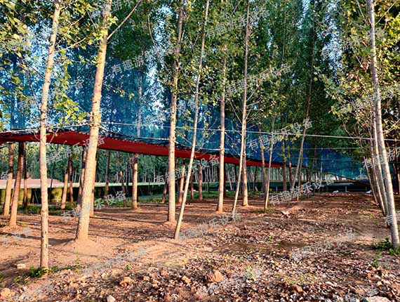 ����ħ�W(w��ng)