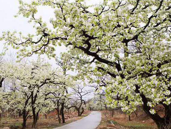 ��ķð�U(xi��n)����