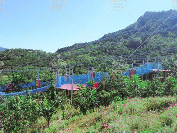 ����ħ�W(w��ng)