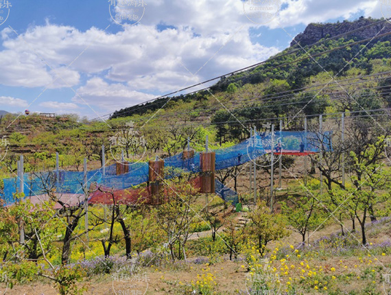 ����ħ�W(w��ng)